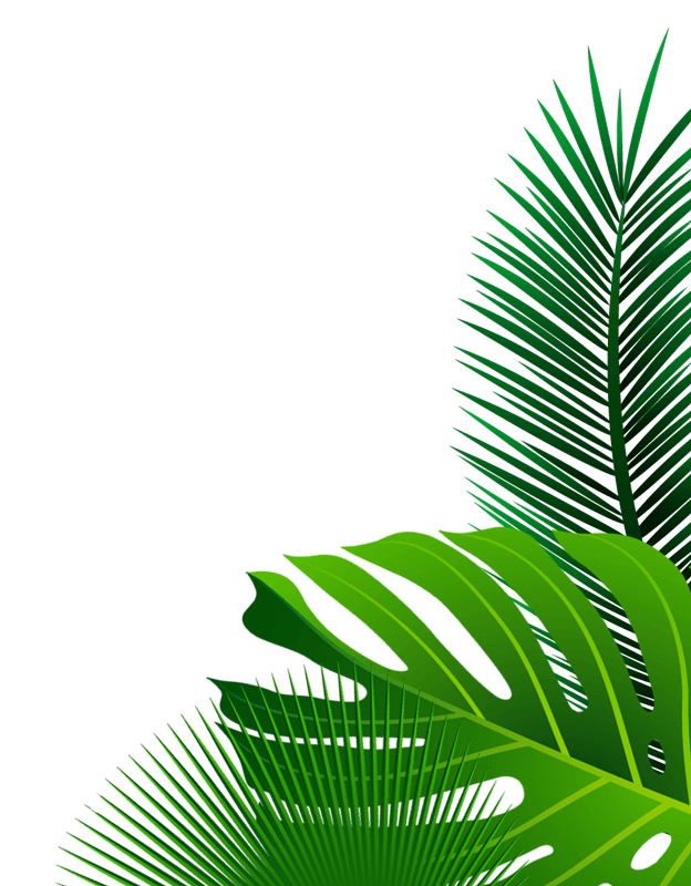 Eco Friendly Packaging